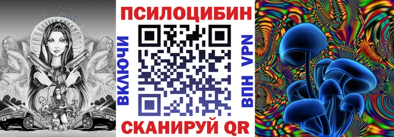 сайты даркнета телеграм  купить наркотик  Чадан  Псилоцибиновые грибы Cubensis 